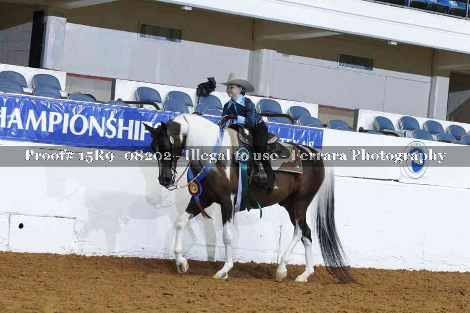 Proof Number 15R9_08202
