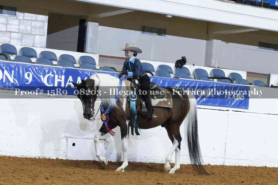 Proof Number 15R9_08203
