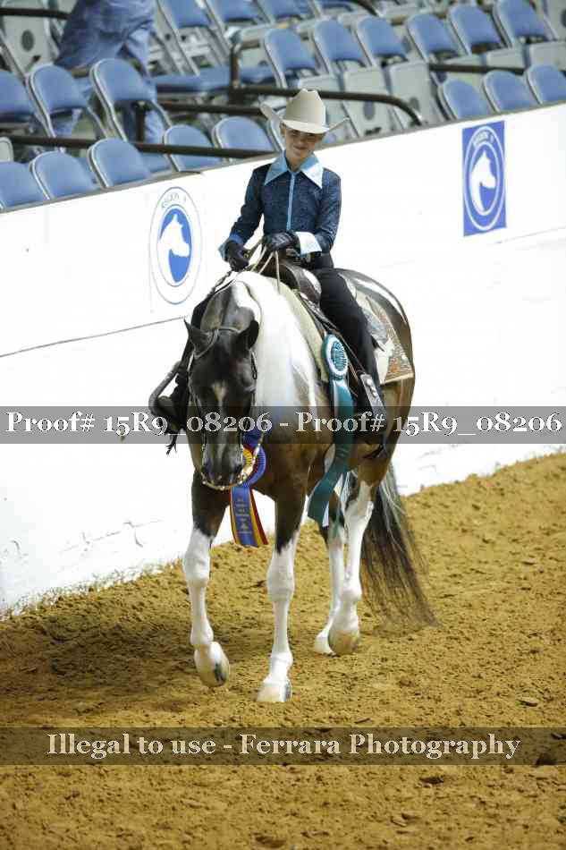 Proof Number 15R9_08206