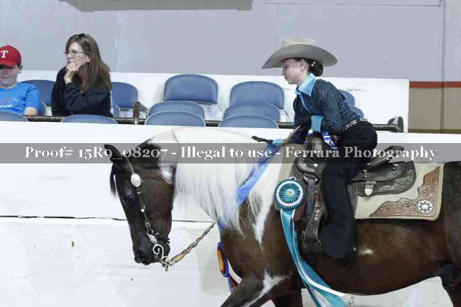Proof Number 15R9_08207