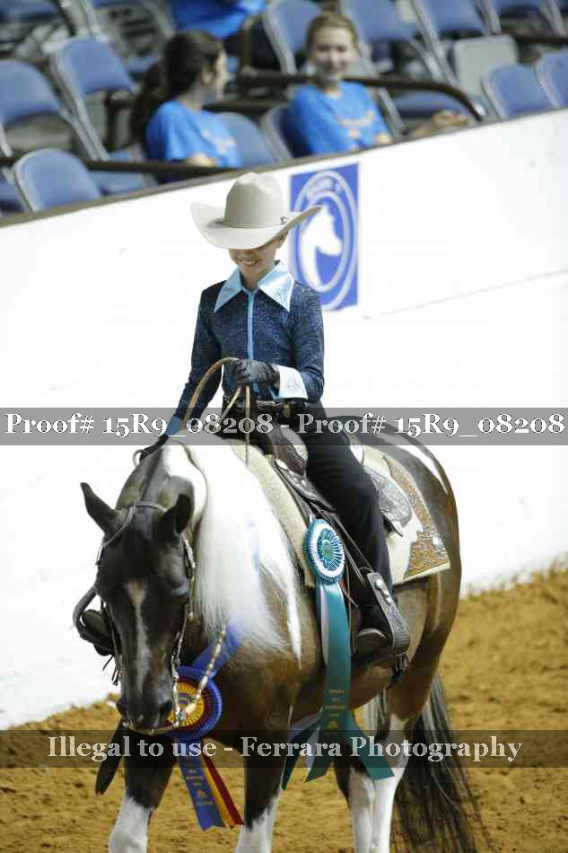 Proof Number 15R9_08208