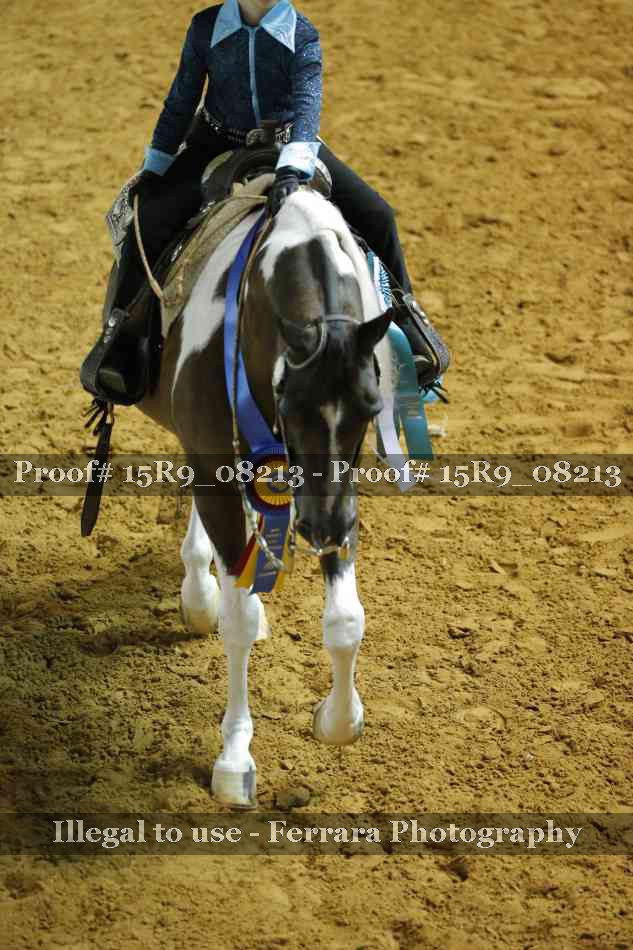 Proof Number 15R9_08213