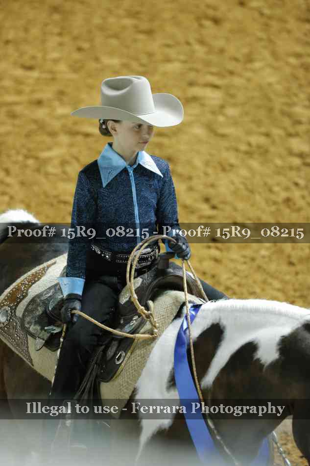 Proof Number 15R9_08215