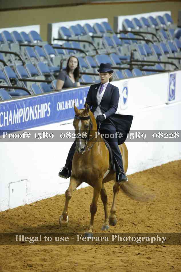 Proof Number 15R9_08228