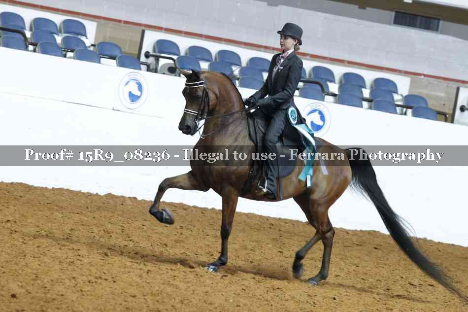 Proof Number 15R9_08236