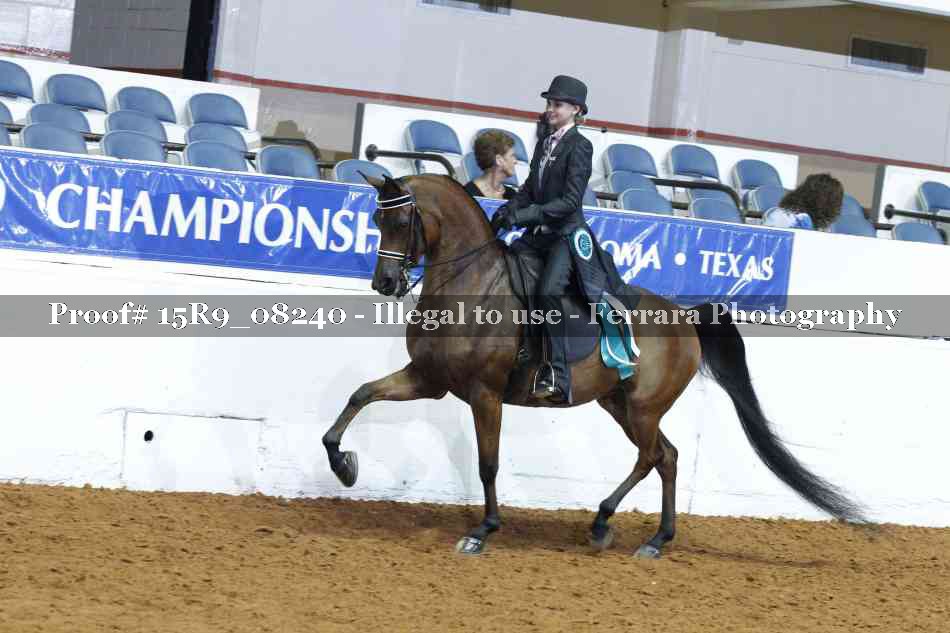 Proof Number 15R9_08240