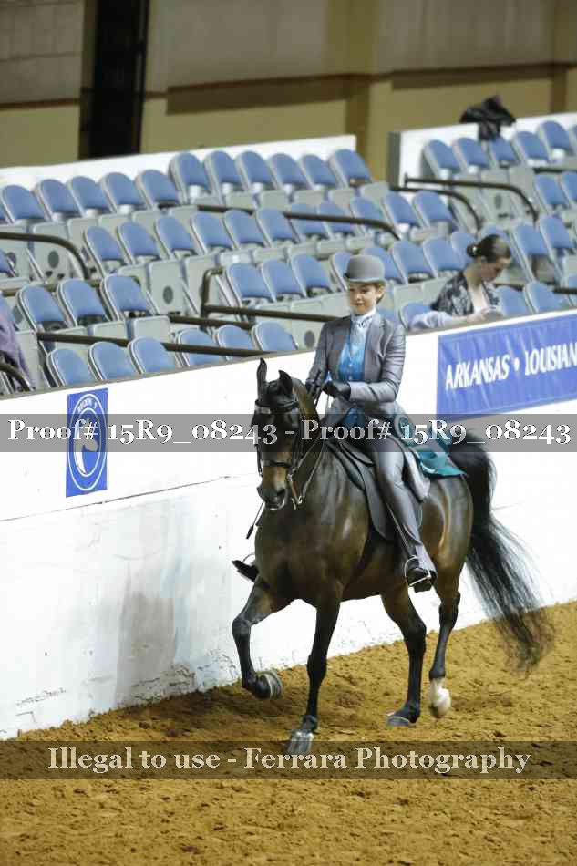Proof Number 15R9_08243