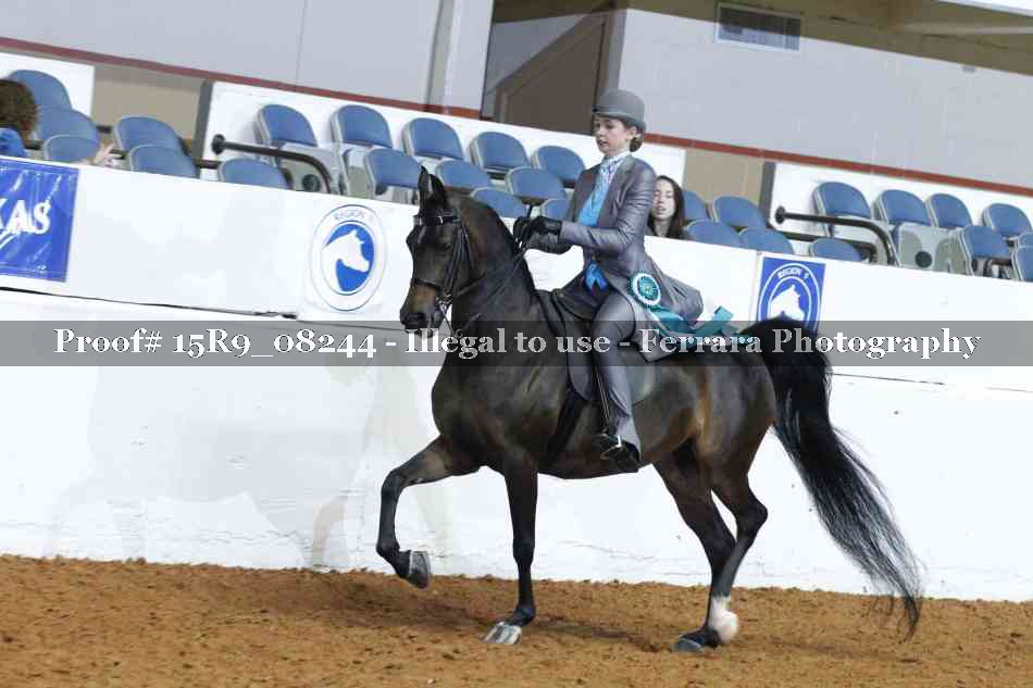 Proof Number 15R9_08244