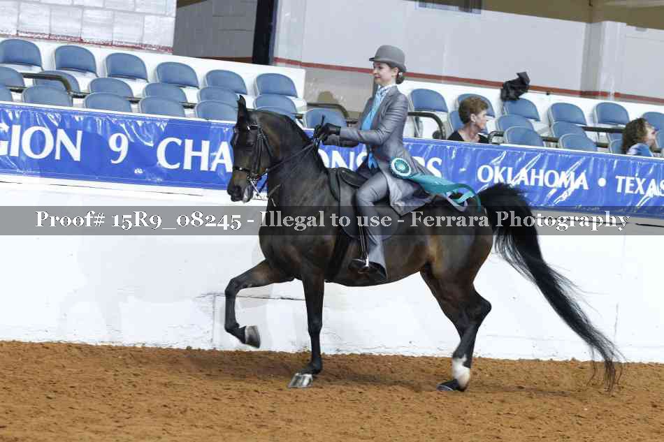 Proof Number 15R9_08245