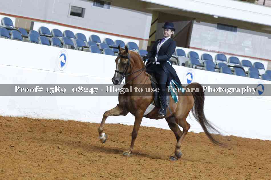 Proof Number 15R9_08247