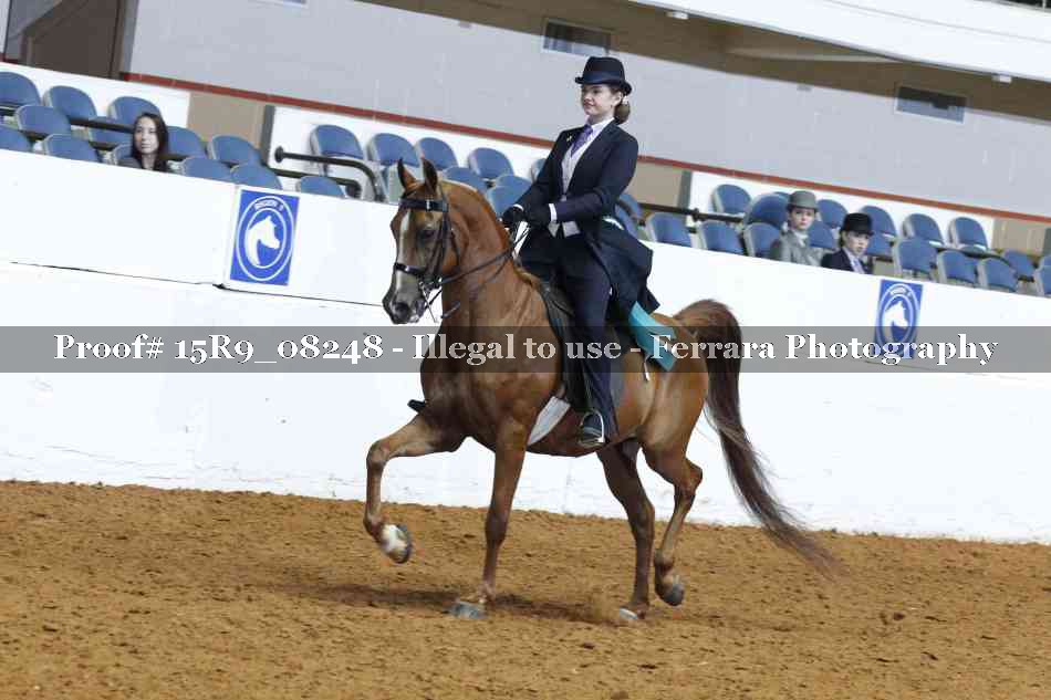 Proof Number 15R9_08248