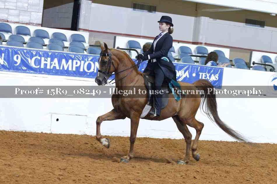 Proof Number 15R9_08249