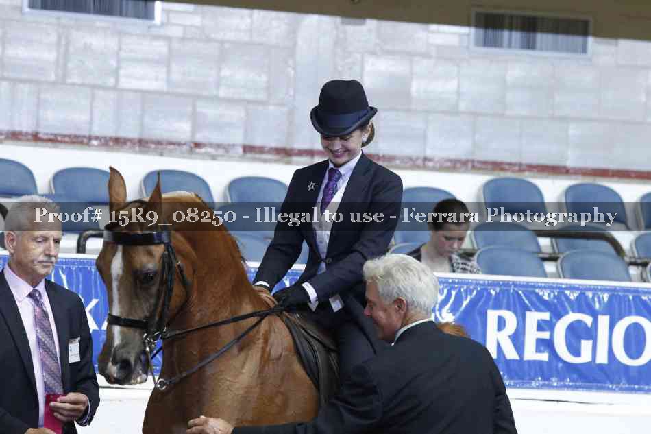 Proof Number 15R9_08250