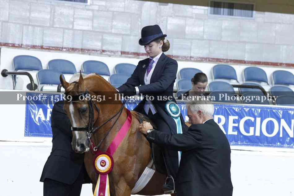 Proof Number 15R9_08251