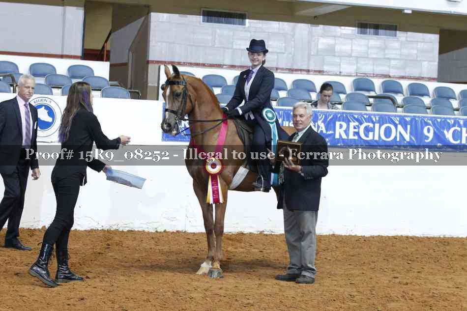 Proof Number 15R9_08252