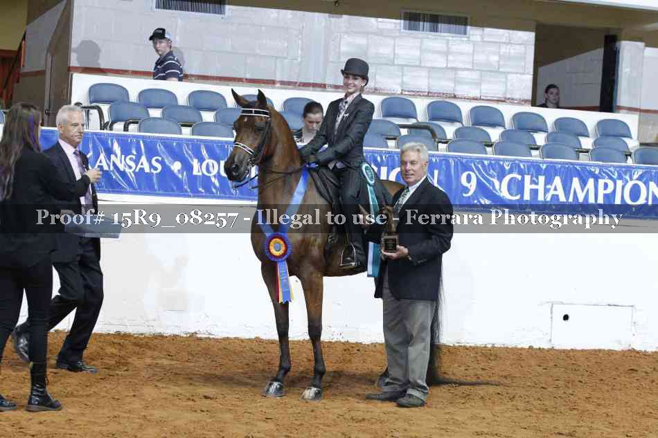 Proof Number 15R9_08257