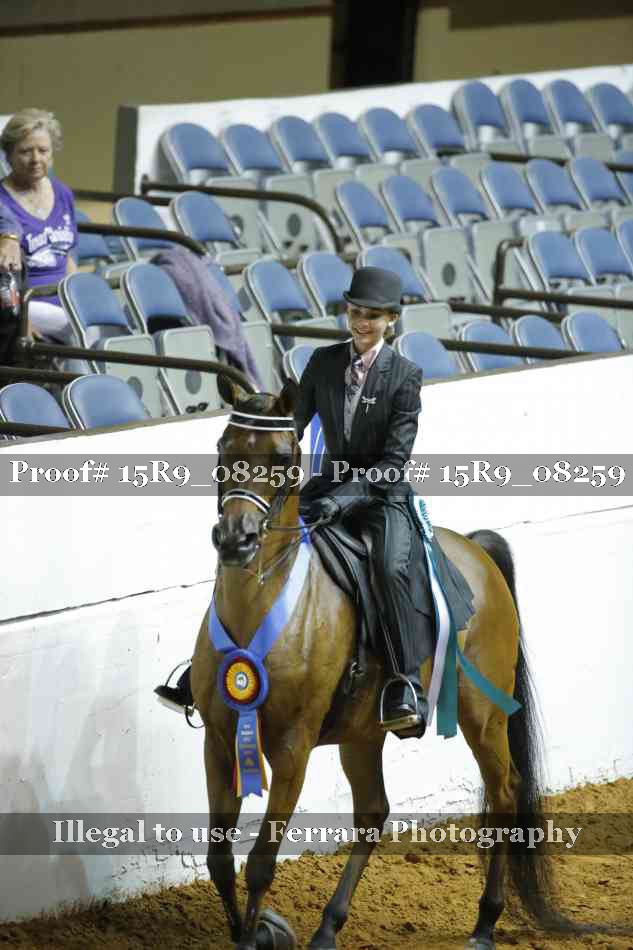 Proof Number 15R9_08259