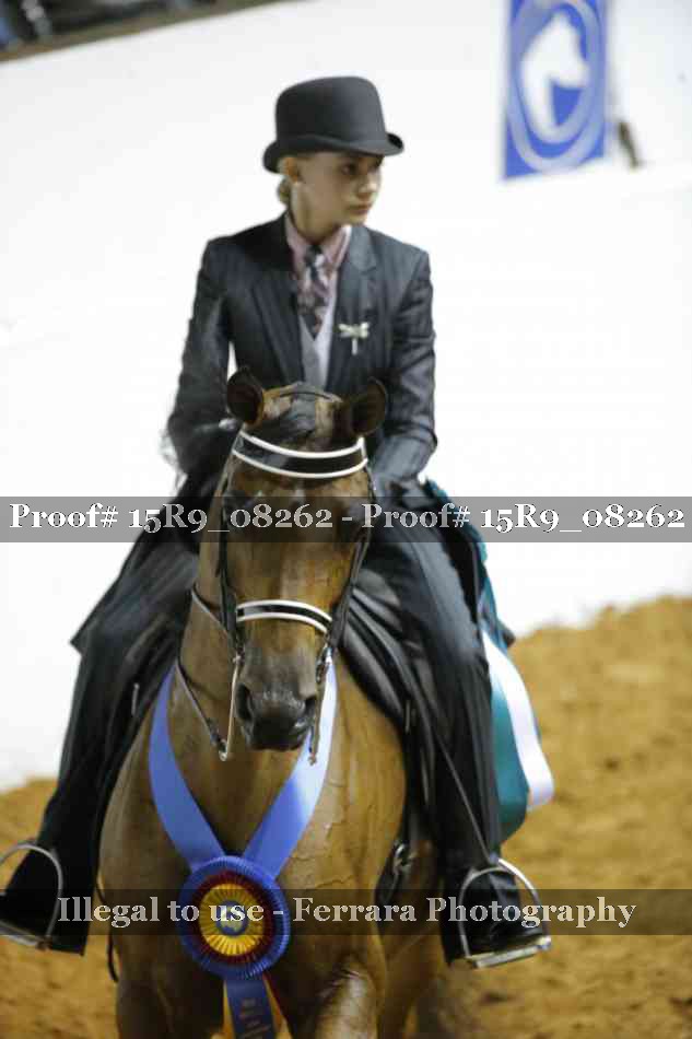 Proof Number 15R9_08262
