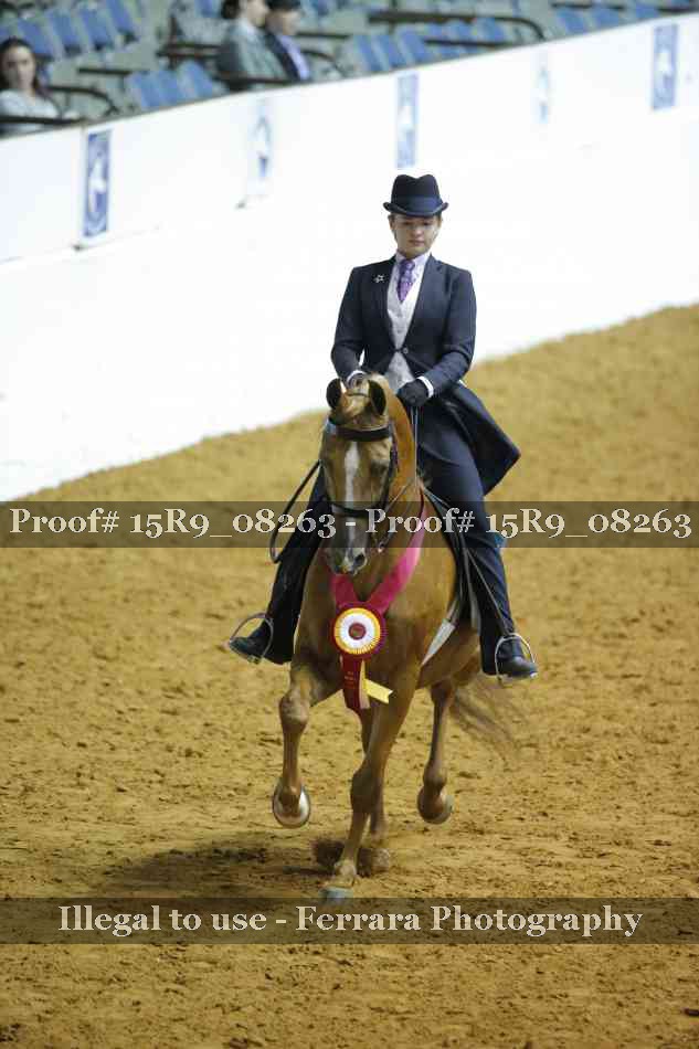 Proof Number 15R9_08263
