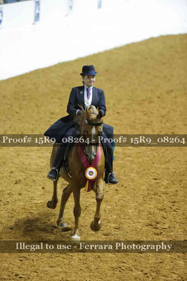 Proof Number 15R9_08264