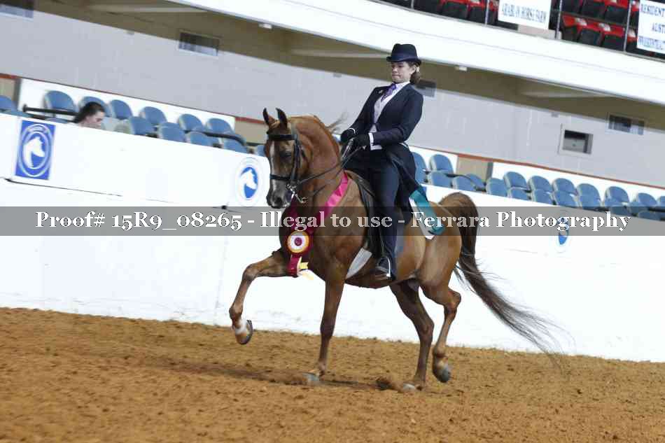 Proof Number 15R9_08265