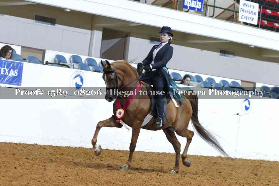 Proof Number 15R9_08266