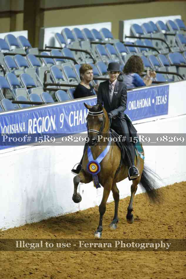 Proof Number 15R9_08269