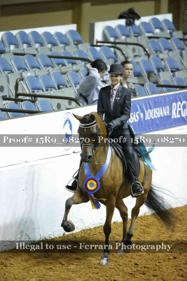 Proof Number 15R9_08270