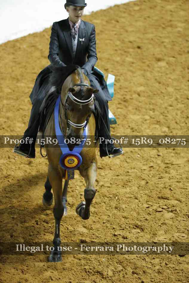 Proof Number 15R9_08275
