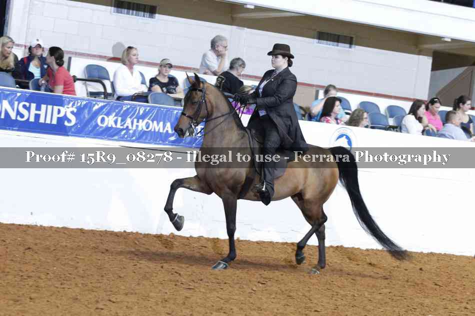 Proof Number 15R9_08278