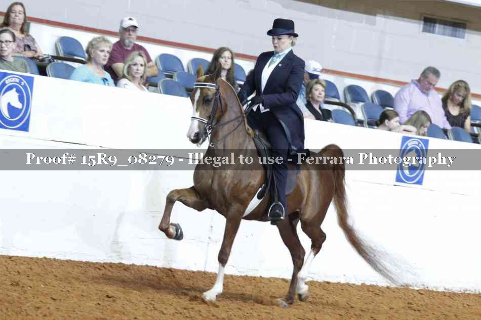 Proof Number 15R9_08279