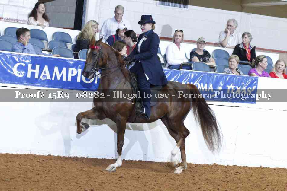 Proof Number 15R9_08282