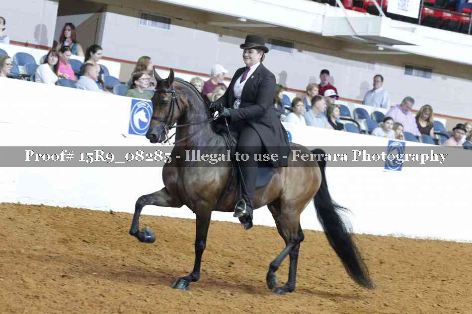 Proof Number 15R9_08285