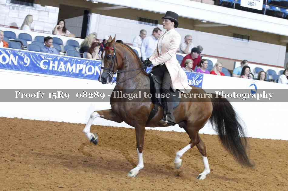 Proof Number 15R9_08289