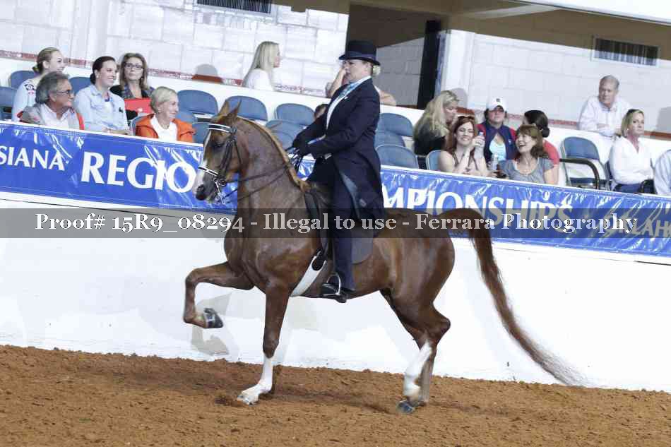 Proof Number 15R9_08294