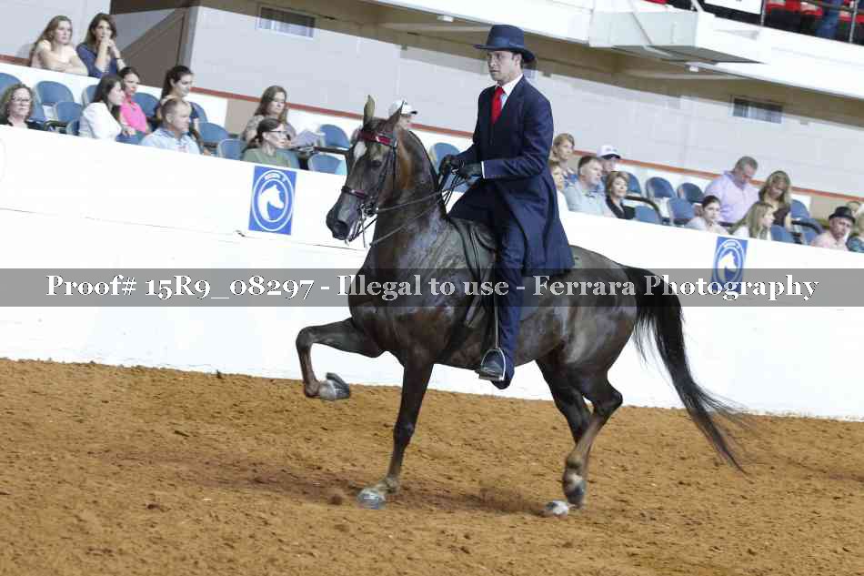 Proof Number 15R9_08297