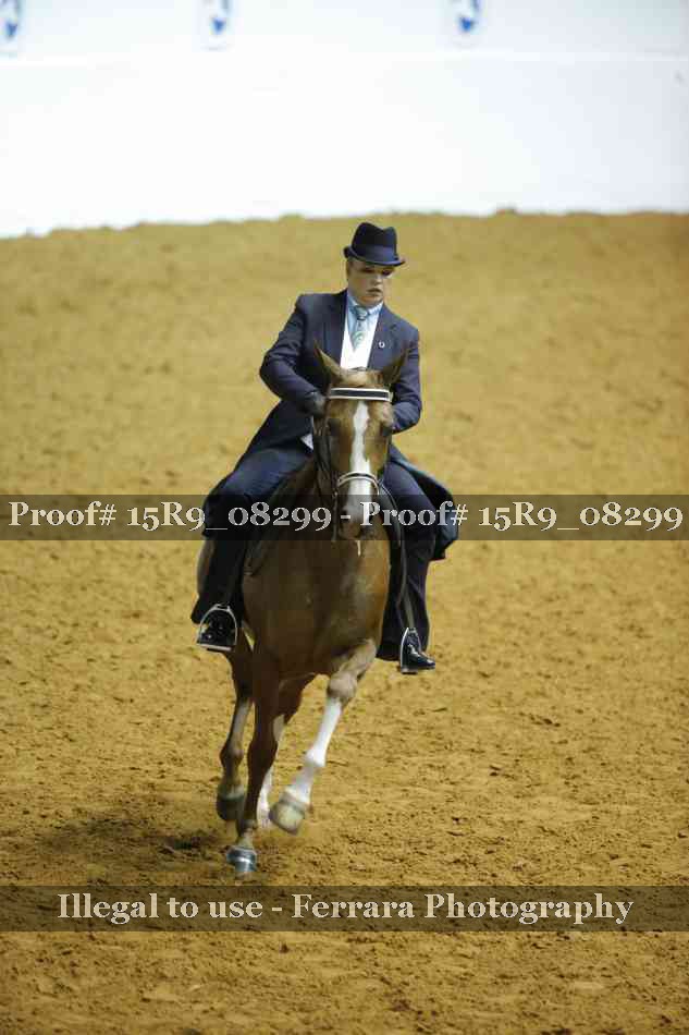 Proof Number 15R9_08299