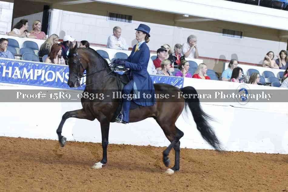 Proof Number 15R9_08313