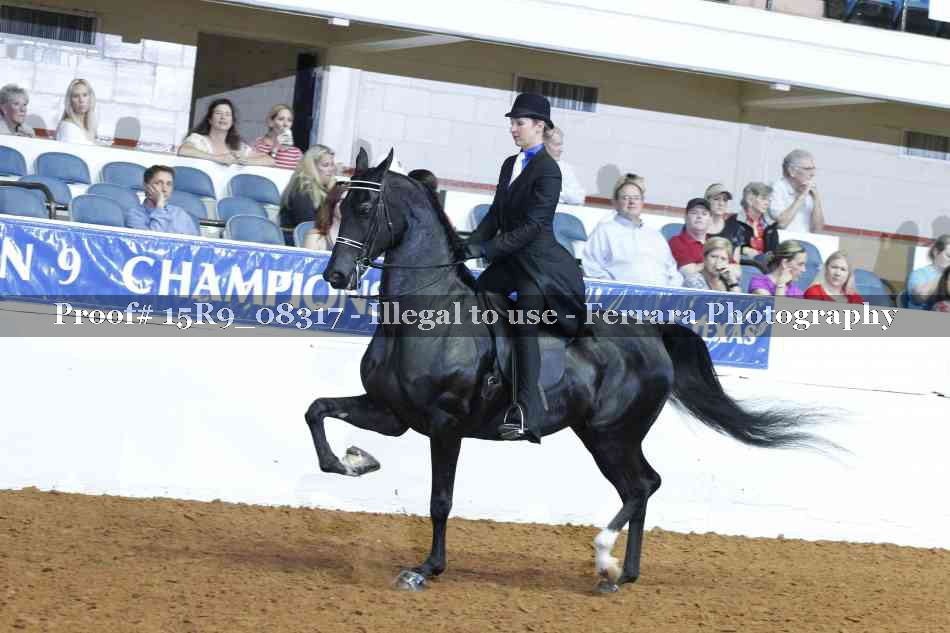 Proof Number 15R9_08317