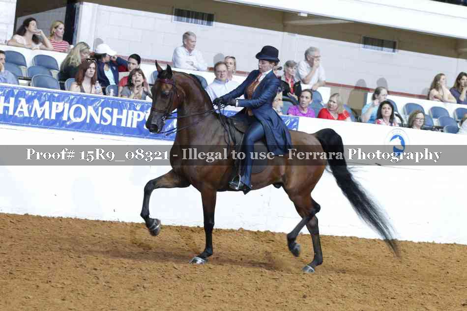 Proof Number 15R9_08321