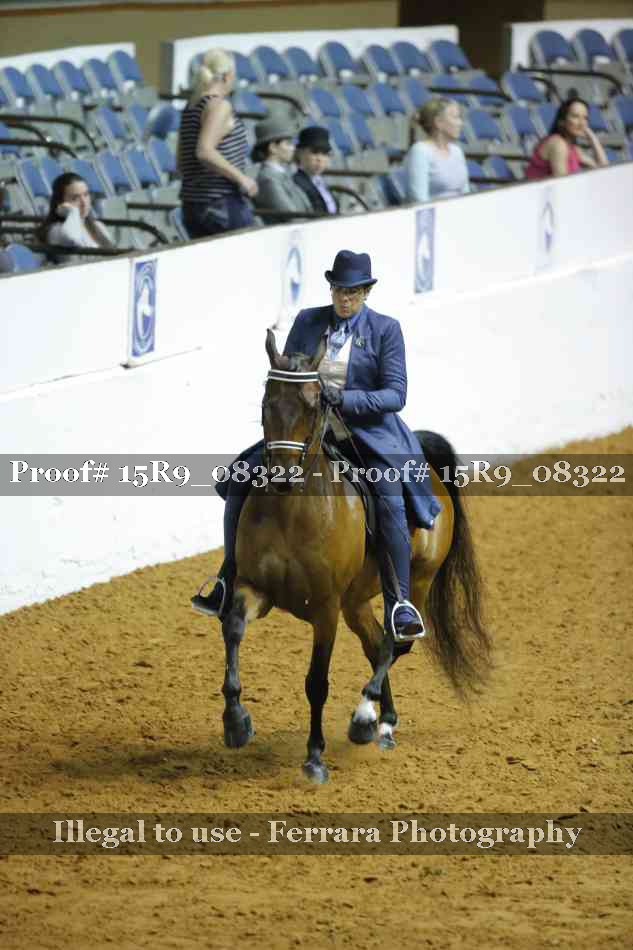 Proof Number 15R9_08322