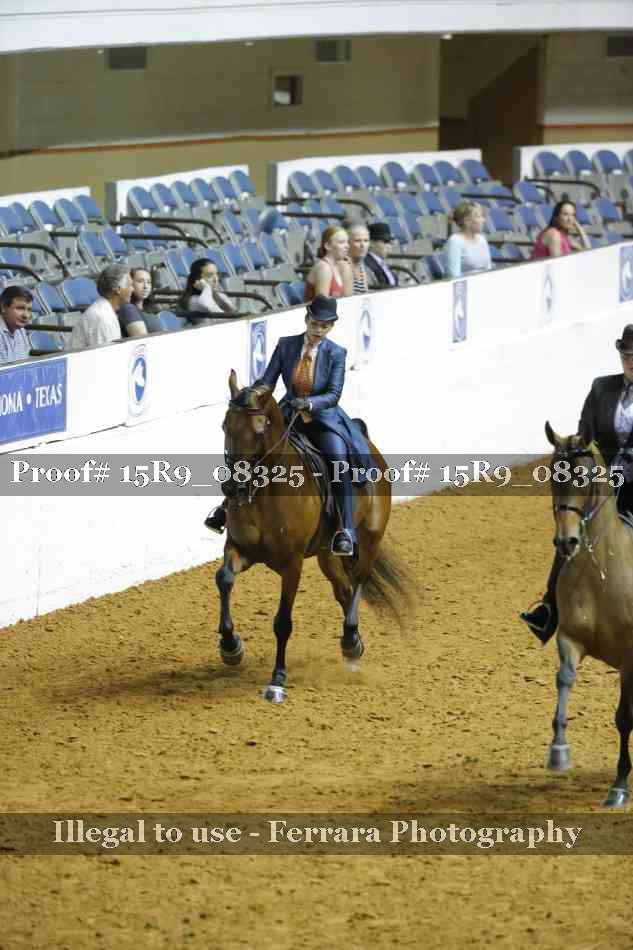 Proof Number 15R9_08325