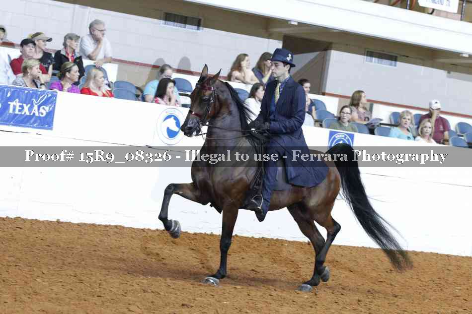 Proof Number 15R9_08326