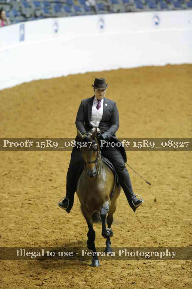 Proof Number 15R9_08327