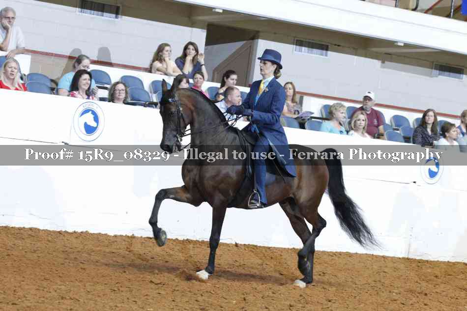 Proof Number 15R9_08329