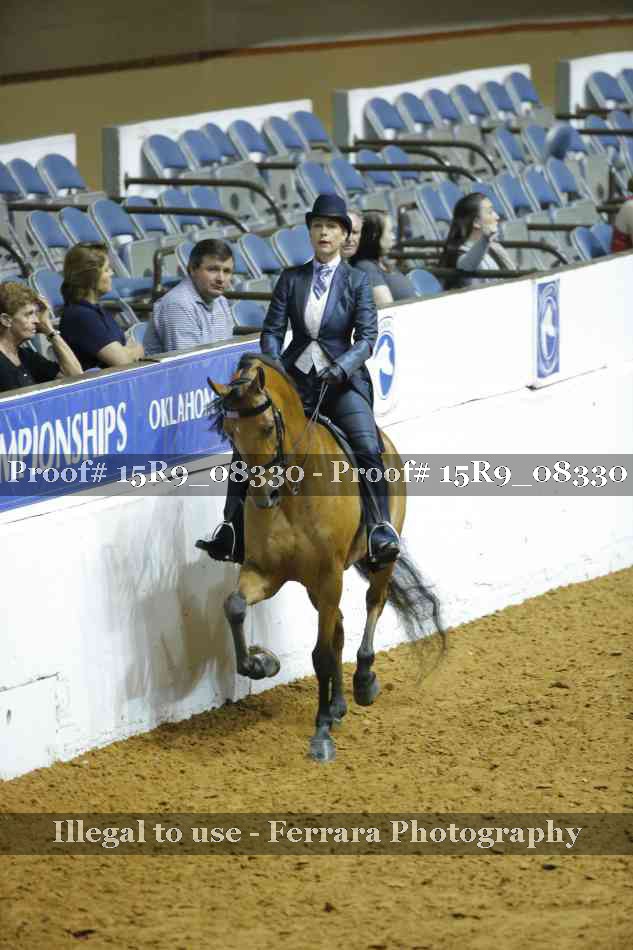 Proof Number 15R9_08330