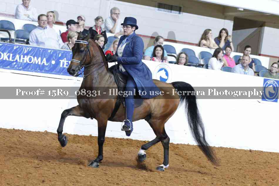 Proof Number 15R9_08331