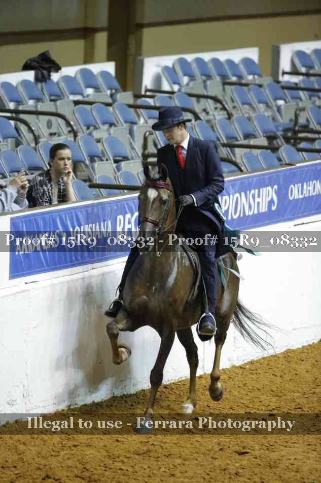 Proof Number 15R9_08332