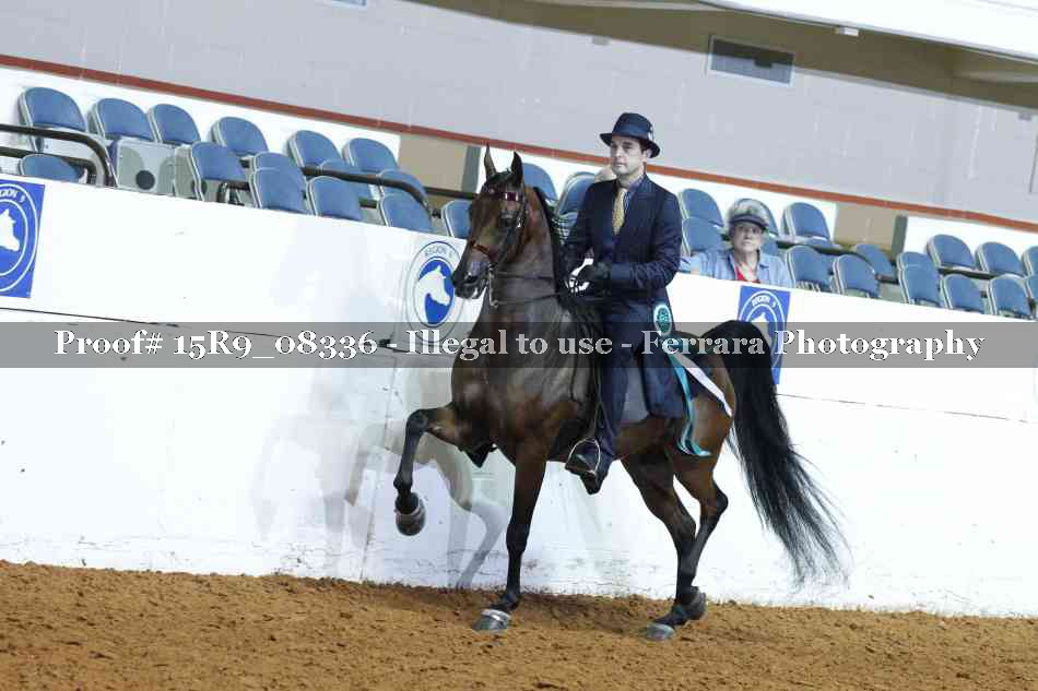Proof Number 15R9_08336