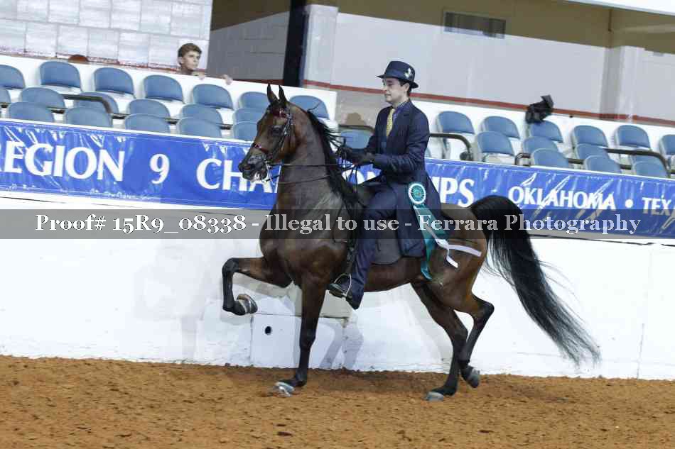 Proof Number 15R9_08338